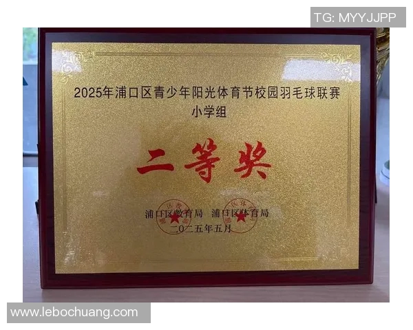 重庆羽毛球队在全国羽毛球比赛经验排行榜中荣获第六名的荣耀与启示