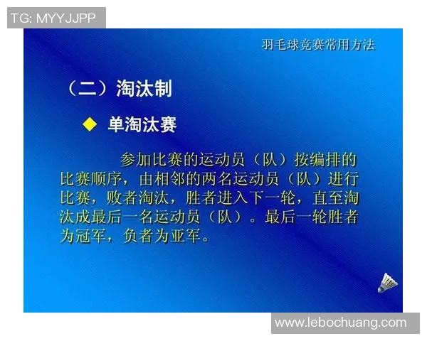 广州羽毛球队在杯赛中的经验与表现分析及启示