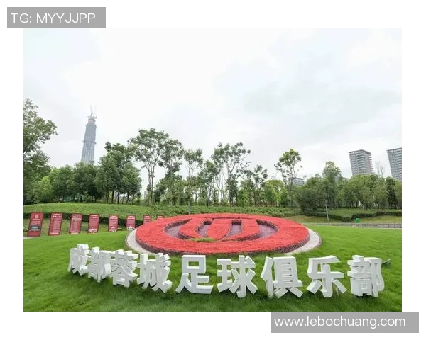 成都足球队实力分析与未来发展展望探讨 成都足球队实力分析与未来发展展望探讨