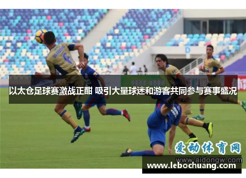 以太仓足球赛激战正酣 吸引大量球迷和游客共同参与赛事盛况
