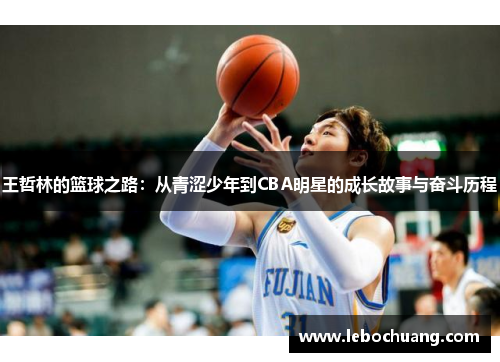 王哲林的篮球之路：从青涩少年到CBA明星的成长故事与奋斗历程